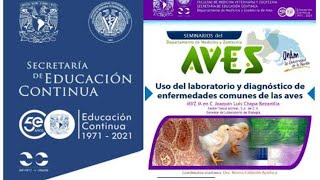 Uso del laboratorio y diagnóstico de enfermedades comunes de las aves [upl. by Ilahsiav]