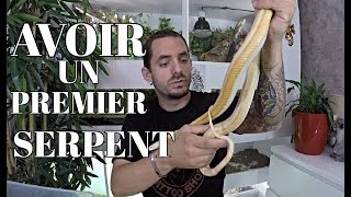 Mon PREMIER SERPENT pour DEBUTANT [upl. by Rotberg]