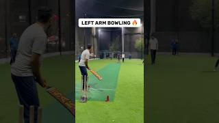 Cricket Challenges 🏏 Outstanding bowling by Left arm fast bowler🔥 cricket cricketshorts sports [upl. by Orenid]