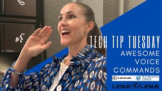 How To Use Voice Commands In Your Lexus  Tech Tip Tuesday [upl. by Haleemak525]