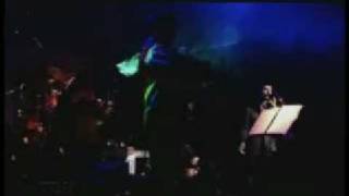 Ehsan Khaje Amiri  Tehran Concert  Bavar Nemikonam High Quality [upl. by Dnalra8]