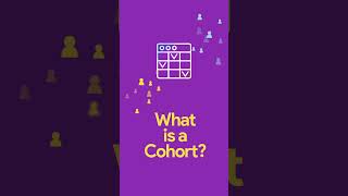 What is a Cohort Explained by Netmera [upl. by Daenis421]