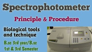 Spectrophotometer Bsc 3rd Year Principle of Spectrophotometer Bsc 3rd amp 1st SemesterUmeshBiology [upl. by Pasco]