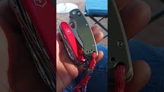 Todays carry Victorinox Delux Tinker and Ganzo 729 [upl. by Elrod]