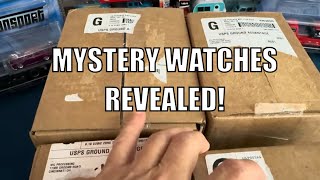 Box Opening 4 Mystery Watches From Watch Gang [upl. by Peskoff344]