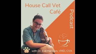 Ep 70 Compounding Medicine for House Call Vets Meet Pharmacist Dr Lauren Forsythe [upl. by Nileuqaj468]