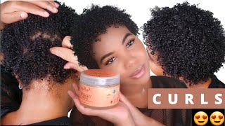 Finally Tried This Shea Moisture Coconut amp Hibiscus Curling Gel On My 4 Type Hair [upl. by Satterlee352]