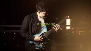 The Sälen NX 6T Spark Community Drop  strandberg Guitars [upl. by Atinej]