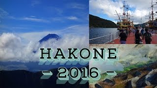 Japan VLOG  Fuji Vulkankrater und ein Schiff in Hakone  Deutsch [upl. by Helprin980]