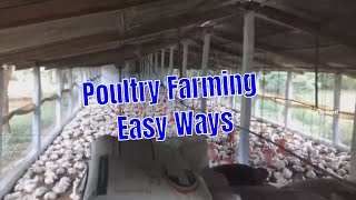 Broiler Poultry Farming Method with Project Report  Poultry Farming Easy Ways [upl. by Pappas890]