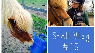 Reiten reiten reiten die Sache mit dem runterfallen amp SmallTalk am Stall  Eure Fragen [upl. by Germaun]