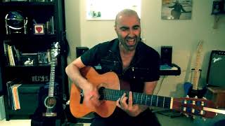 Bossa Nova Baby  Elvis cover Joe Var Veri [upl. by Acirne186]