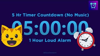 5 Hour Timer Countdown No Music  1 Hour Loud Alarm [upl. by Braynard]