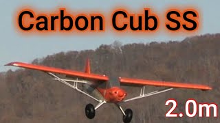 EFlite Carbon Cub SS 20M Pilot John [upl. by Faxan]