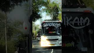 SPADIKAM HOLIDAYS spadikam spadikamholidays touristbus trending shortsfeed shorts viral [upl. by Attenauq]