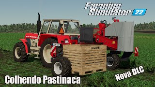 Fs 22 DLC Premium Expansion  Colhendo Pastinaca com Dewulf P3CL Profi [upl. by Sedda834]