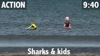 Sharks amp Kids [upl. by Lahcsap]