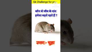 General knowledge l Gk in Hindi ✅✍️ l shorts trending rat gkinhind gk quiz 1k 110 [upl. by Mahmoud624]