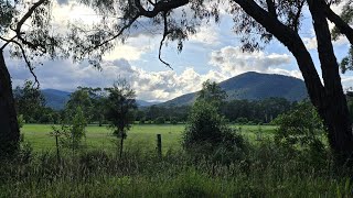 Black Spur Cycle Descent 2024 [upl. by Campman845]