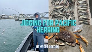 Jigging For Pacific Herring  INSANE ACTION  WET amp WINDY  Newport Oregon pnwfishing [upl. by Dias740]