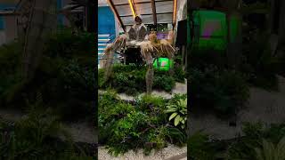 Giant spider in Dubaï Mall😱🕷️ giantspider dubaimall dubai giantspiderindubaimall timeofun [upl. by Chancellor]