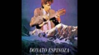 YUNGAS  DONATO ESPINOZA [upl. by Ayik]