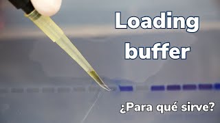 🧬🧬🧬¿Qué es un BUFFER de CARGA para ELECTROFORESIS de ADN y cuál es su función 🧬🧬🧬 [upl. by Behm757]