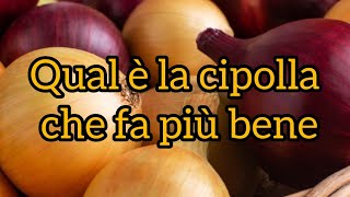 Quale cipolla ha più benefici rossa o dorata [upl. by Shayla995]