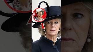 Princess Anne Takes Down Camilla Over Broken NonCompete Promise shorts catherine kate [upl. by Senga]