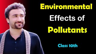 Environmental effects of Pollutants class 10 [upl. by Stefa]