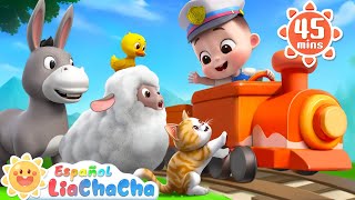 Animales en el Chu Chu Tren  Sonidos de Animales  LiaChaCha en Español  Canciones Infantiles [upl. by Robin]