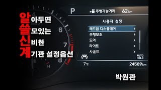 ☆계기판에서 설정이 가능한 유용한 옵션☆에 대해  가니가니 [upl. by Joashus710]