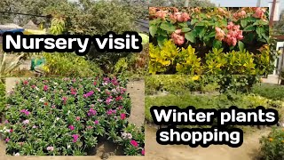 Winter flowering plants shopping with name amp price nursery visit [upl. by Araht18]