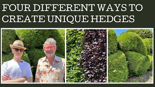 Four different ways to create unique hedges through plant selection colour mix pruning and design [upl. by Neemsaj302]