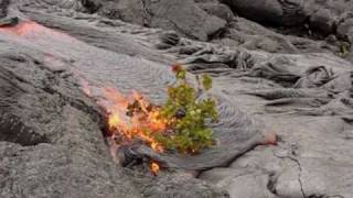 Kilauea Lava Flow March 30 2010 [upl. by Irodim]