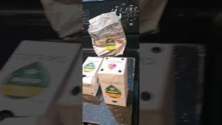 Tassimo Coffee Maker Review Part 2 Brewing [upl. by Ahgiela223]