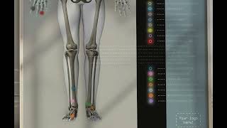 Skeletal System from wwweducaredesign [upl. by Eriha785]