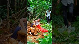 Farmers dig up potatoes from the soil😍😍hardworking ytshots agriculture [upl. by Amalia]