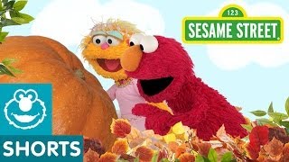 Sesame Street Surprises in the Pumpkin Patch [upl. by Pavlish]