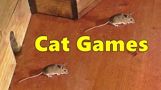 Cat Games Mouse 🐭 Mice Fun for Cats [upl. by Yelknirb]