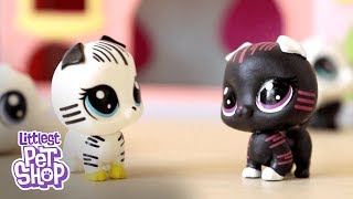 LPS Emily Littlest Pet Shop Black amp White Collection Review ad [upl. by Dnumde471]