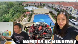 GUMALA KAMI NI BAL SA SUNTRUST VERONA  NAMITAS NG MULBERRY [upl. by Ttirrej]