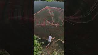 Great fishing skill [upl. by Heimlich]