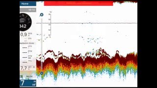 Tout sur la technologie RezBoost présente dans les sondeurs Furuno [upl. by Ellitnahc]