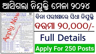 District Employment Office Recruitment 2024  Nijukti Mela 2024  Odisha Job Alert [upl. by Olumor]