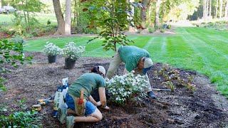 Expanding the Signature Garden With Stunning Shrubs [upl. by Stefan]