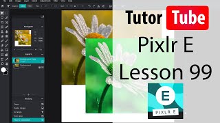 Pixlr E Tutorial  Lesson 99  Renaming Layer [upl. by Williamsen705]