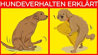 Die Bedeutung der 21 seltsamsten Hundeverhaltensweisen  Fantastische Fakten über Hunde [upl. by Adnana]