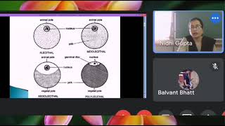 Type of Egg  Structure of Ovum and Sperm  NDVSU  1st Year ANATOMY Lecture [upl. by Eicyac]