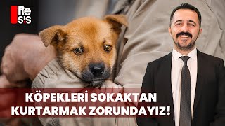 quotKöpekleri Sokaktan Kurtarmak Zorundayızquot  Av Can Güler [upl. by Antonius]